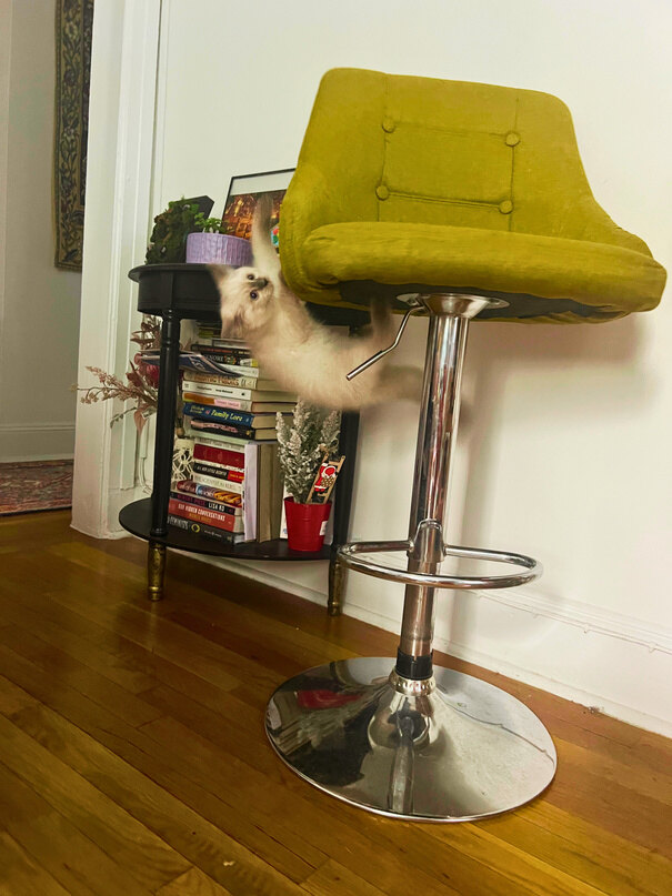 A mustard barstool
