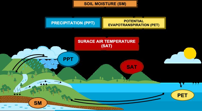 The hydrological cycle