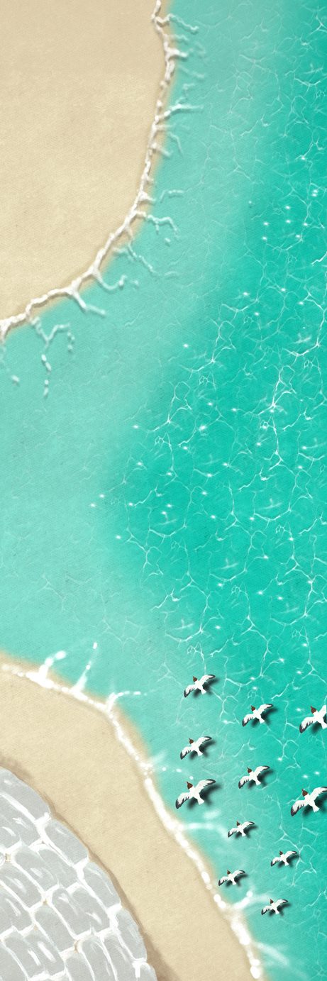 Aerial illustration, coastline